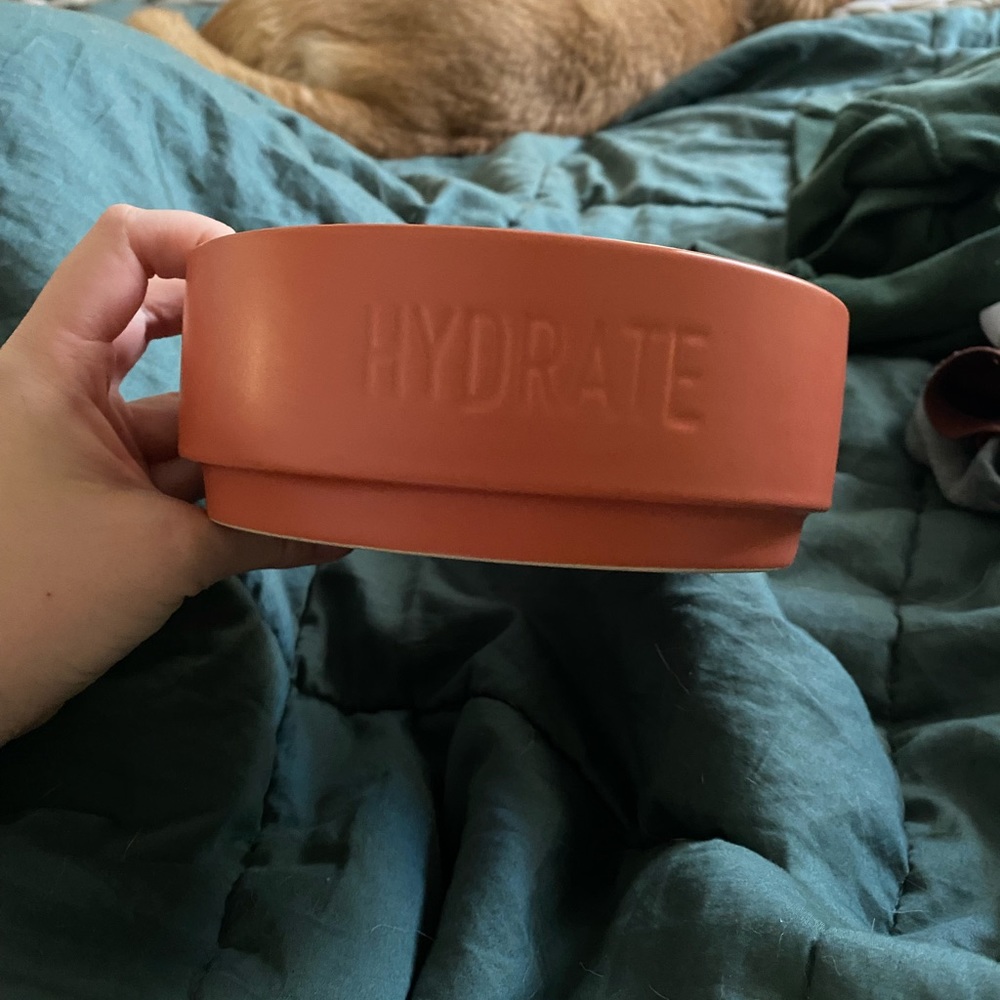 Hydrate Dog Bowl